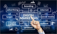 Digital Marketing Agency - D-Axis Digiweb Solutions
